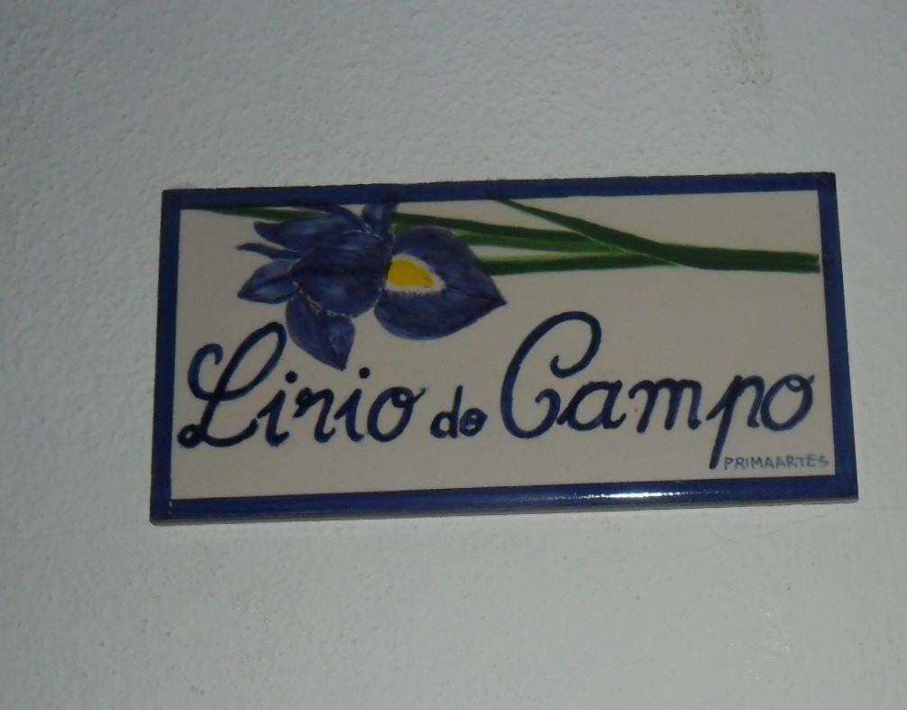 Apartamentos Bau-Doce Cercal do Alentejo Exterior foto